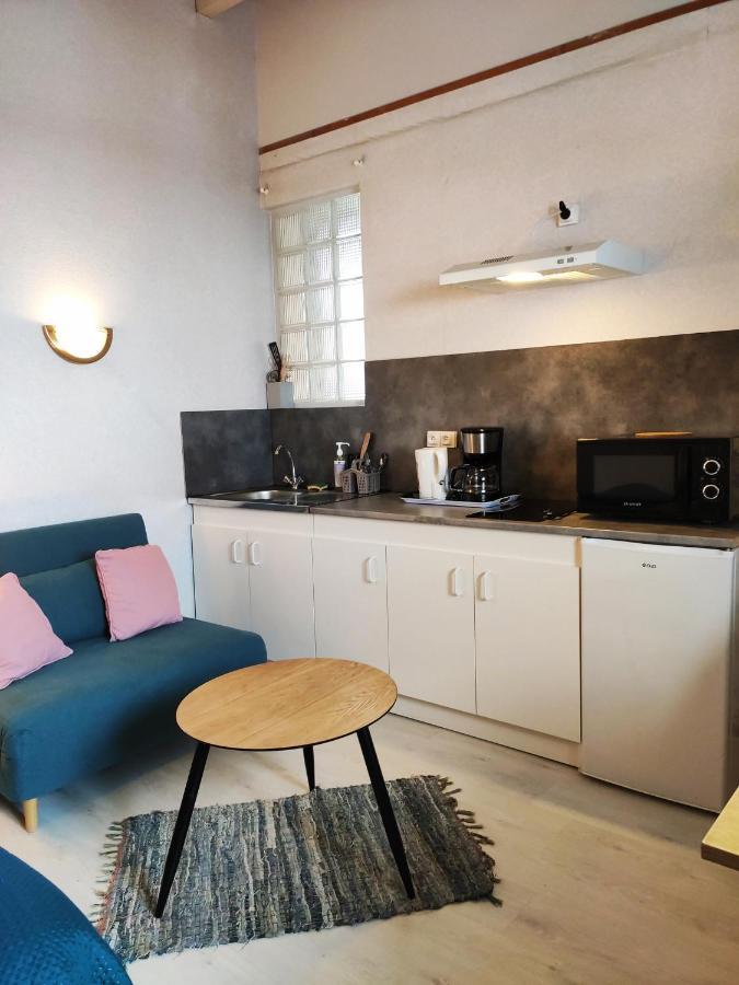Studio Avec Terrasse Vue Tourmalet Dans Villa Historique "Victoria" Argelès-Gazost Eksteriør bilde